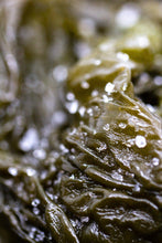 Charger l'image dans la galerie, Kombu Royal frais salé biologique FRAIS BRETALG