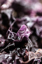 Charger l'image dans la galerie, Nori fraîche salée biologique FRAIS BRETALG