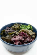 Charger l'image dans la galerie, Pack découverte algues fraîches salées 600 g FRAIS BRETALG