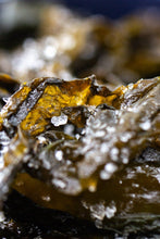 Charger l'image dans la galerie, Wakamé frais salé biologique FRAIS BRETALG