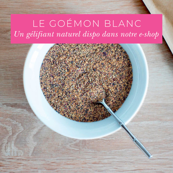 Le Goémon Blanc ou Pioka : une nouveauté BRETALG !