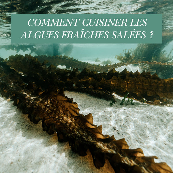 Comment cuisiner les algues fraîches salées au quotidien ?