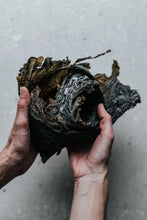 Charger l&#39;image dans la galerie, BRETALG - Producteur - Algues Alimentaires - Legumes de mer déshydratés - Algues déshydratées feuilles entières - Kombu Royal - Biologique - Bretagne
