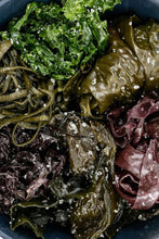 Charger l&#39;image dans la galerie, Pack découverte algues fraîches salées 600 g FRAIS BRETALG 
